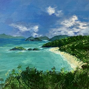 Trunk Bay by Heather Hodgeman